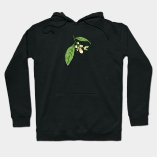 Lemon Buds Botanical Hoodie